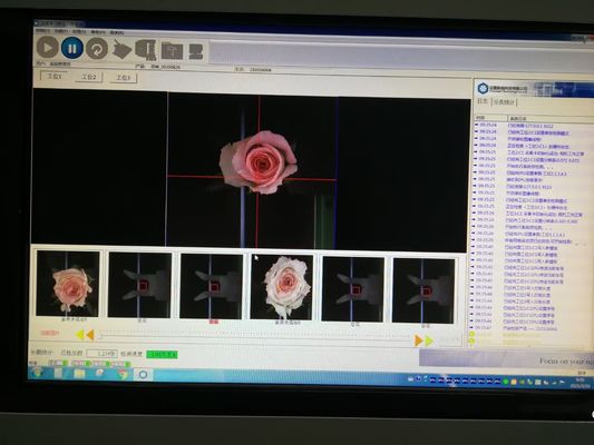 อุปกรณ์ตรวจสอบด้วยสายตาตรวจจับดอกไม้อัตโนมัติเต็มรูปแบบ
